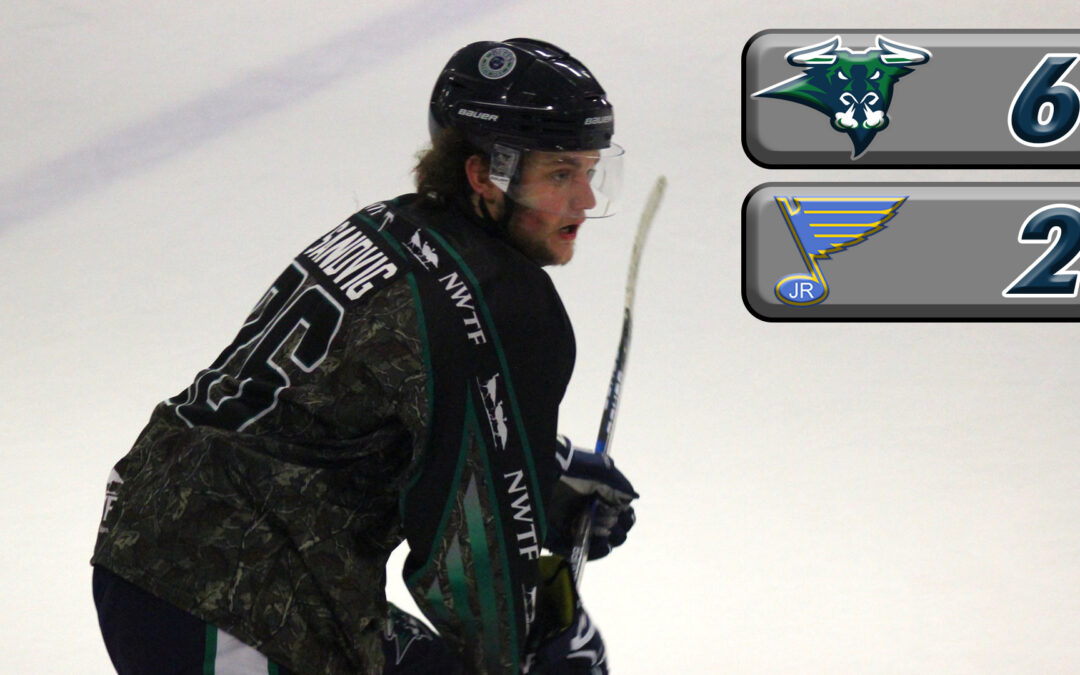 Blues, Best in Midwest, Beaten By Bulls