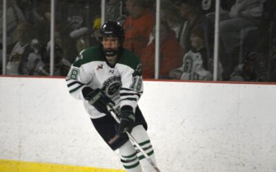 Blizzard Score First, Bulls Land in Third With 5-3 Win