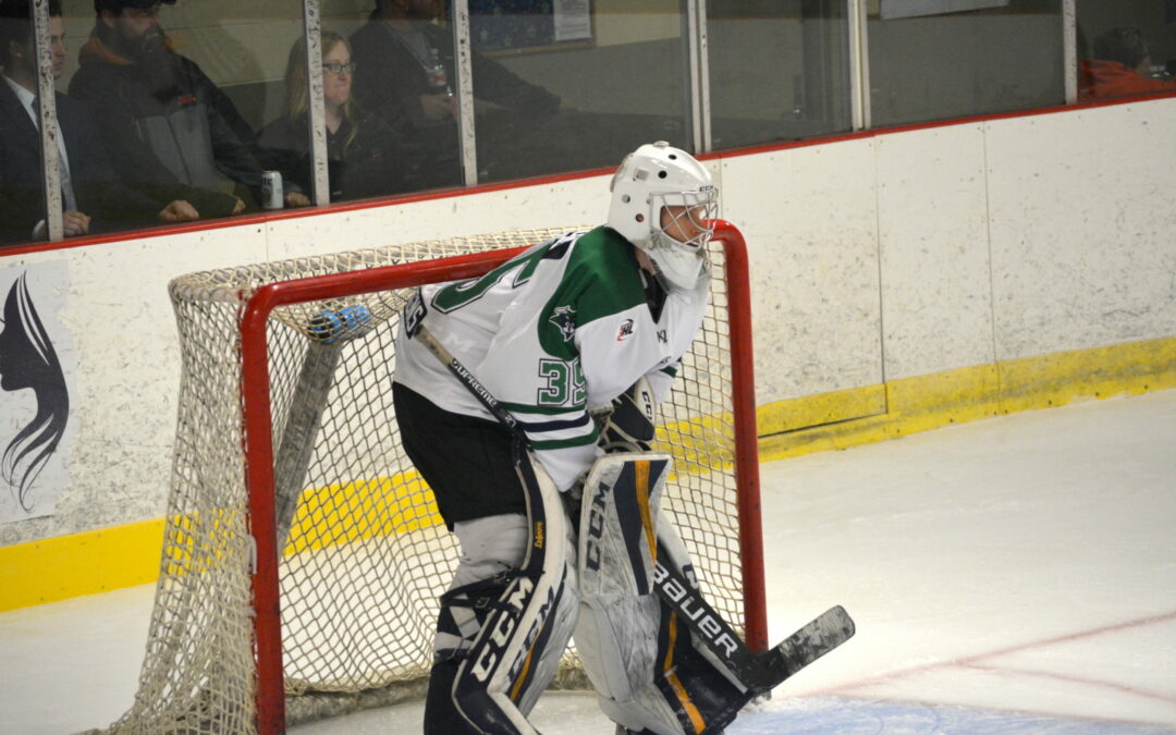 Poczos Recalled by Brahmas, Returns to NAHL