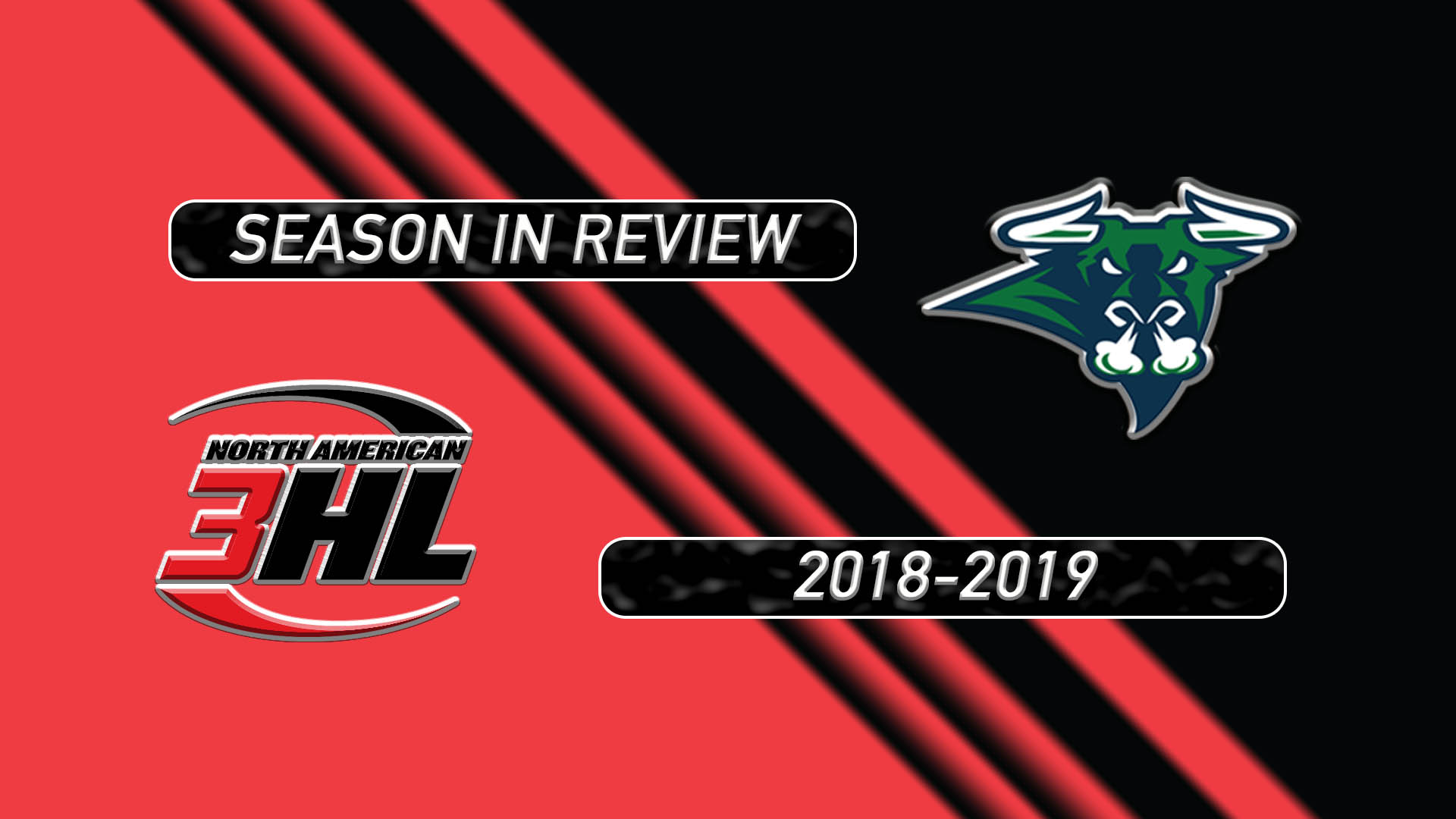 BULLS PREGAME GRAPHIC 2018-19 WEB SEASON REVIEW