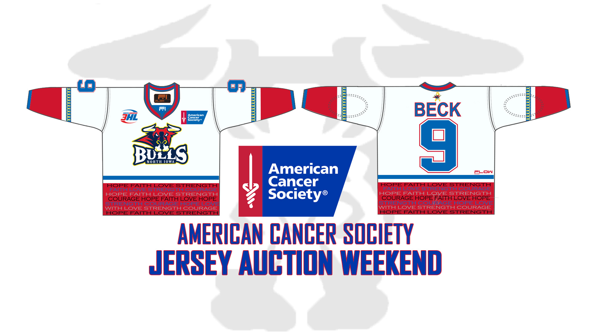 American Cancer Society Jersey Auction web2