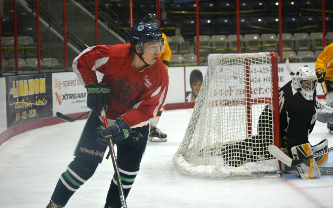 Bulls Come On Late, But Fall 3-2 at Rochester