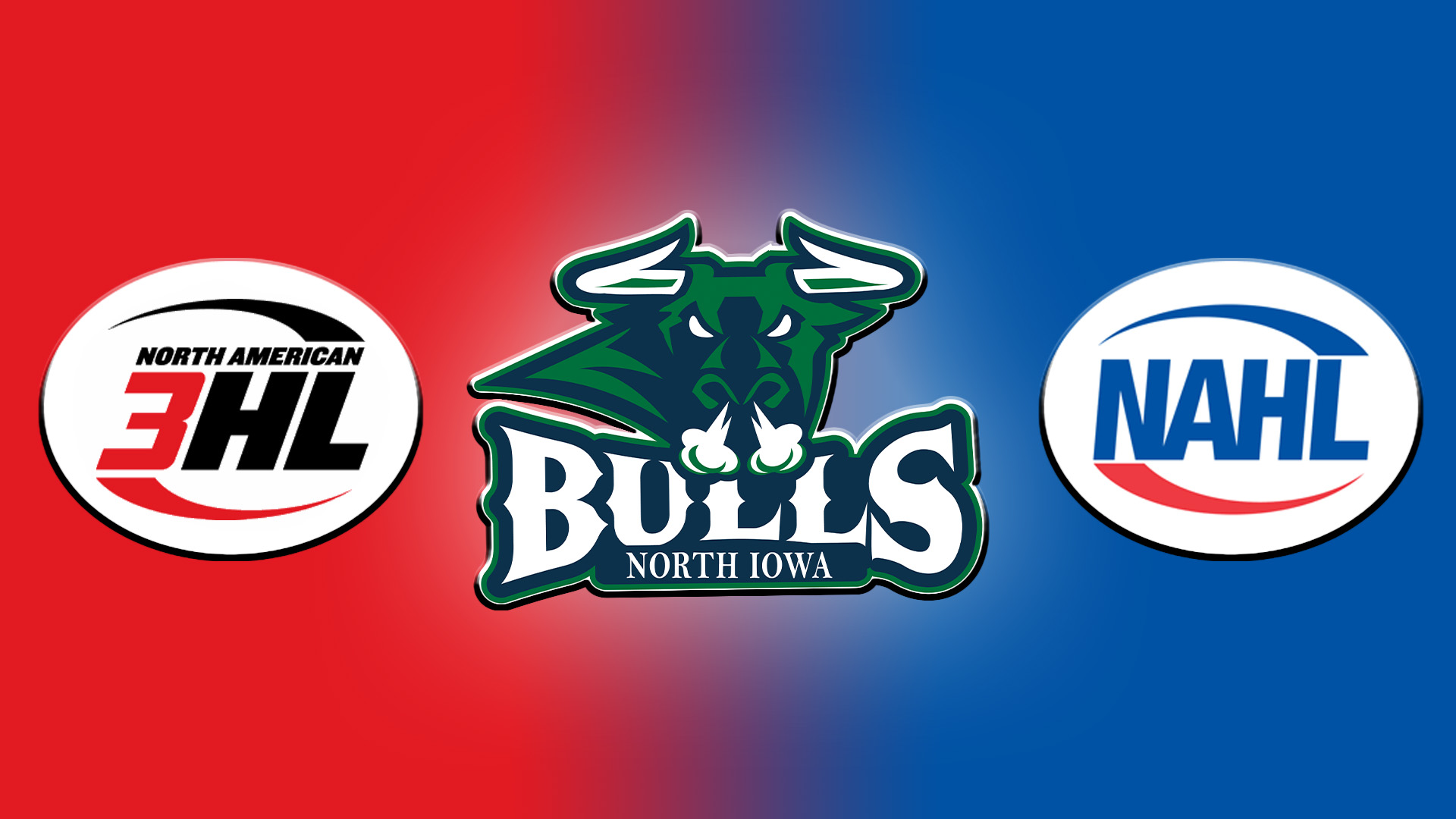 Bulls Announce Move to NAHL copy