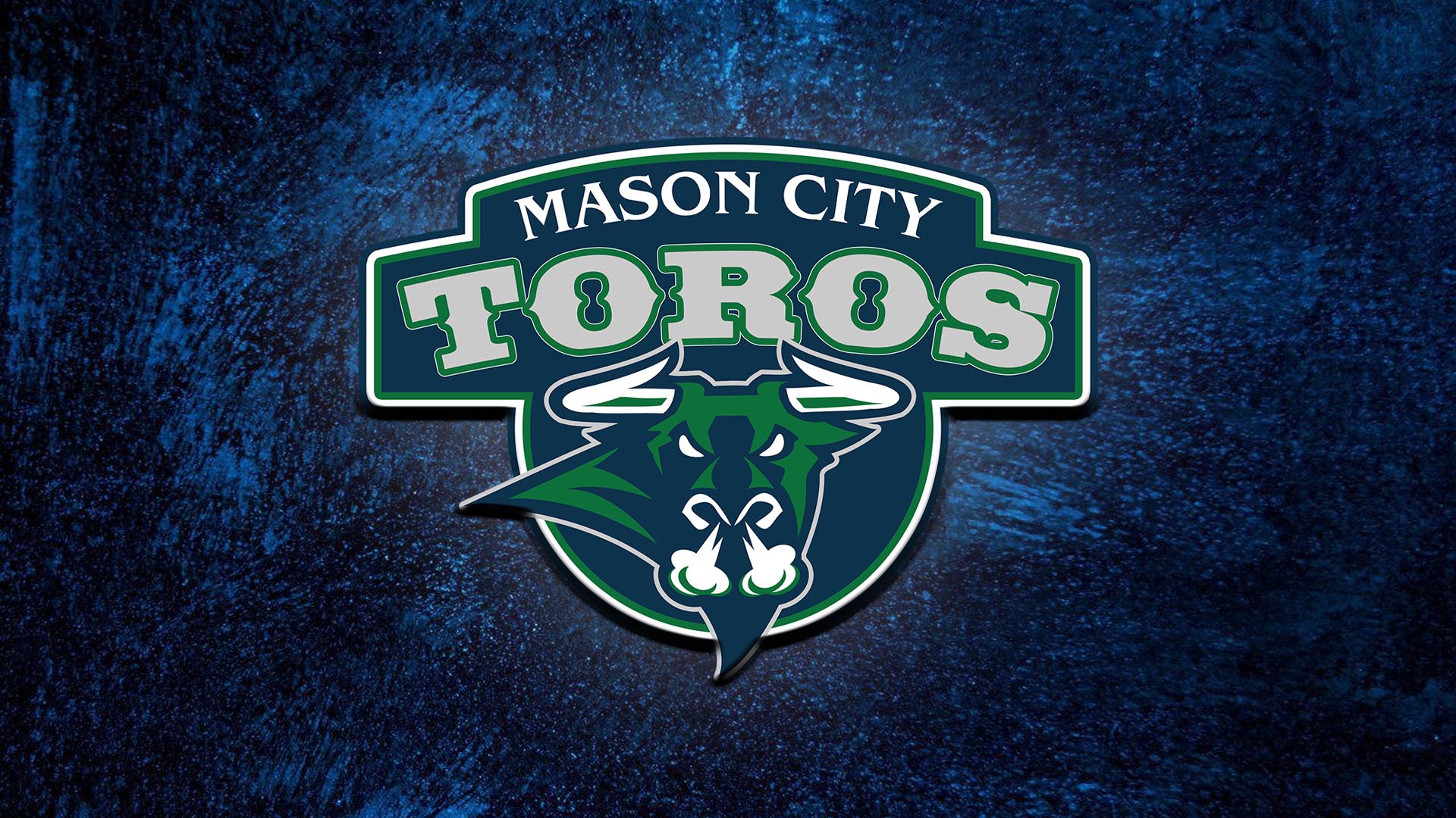 Mason City Toros Generic