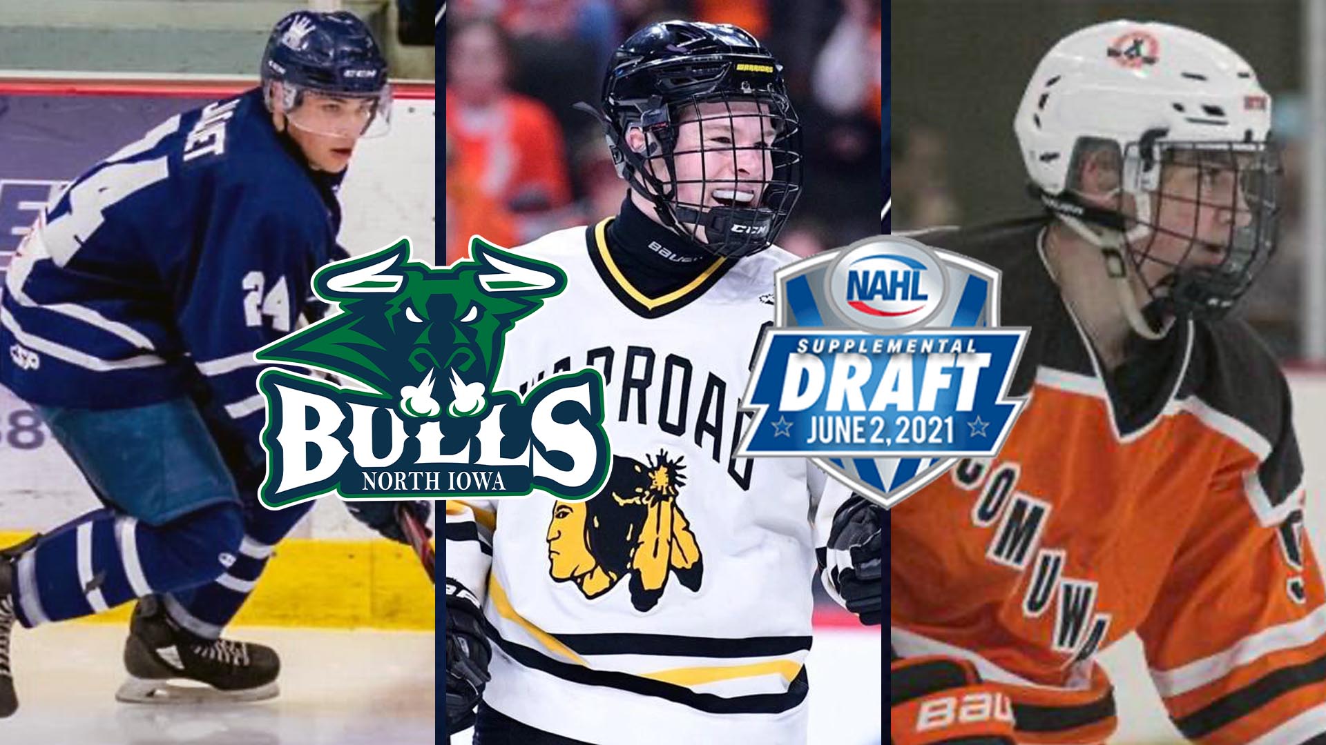 NI Bulls Supplemental Draft Final