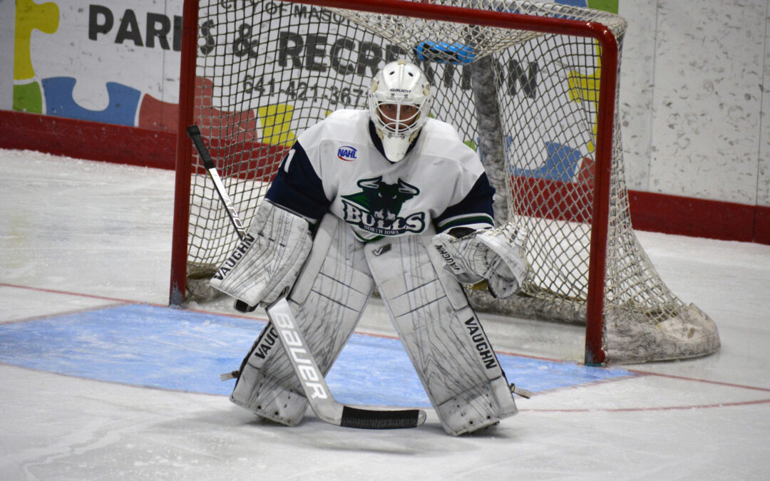 Teddy Bears Rain, Norsemen Reign in Bulls’ 4-2 Loss