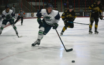 Gajewski Hat Trick Keys 5-3 Win As Bulls Sweep Springfield