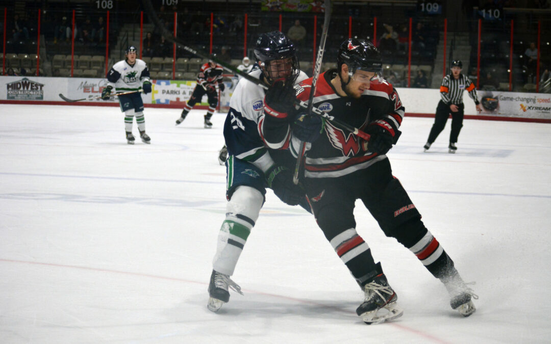 Wings Sneak Off Home Ice With 4-3 Overtime Win Over Bulls