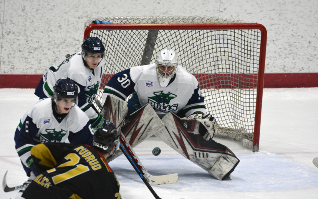 Bulls, Bobcats Battle in Last Full Home Regular-Season Weekend