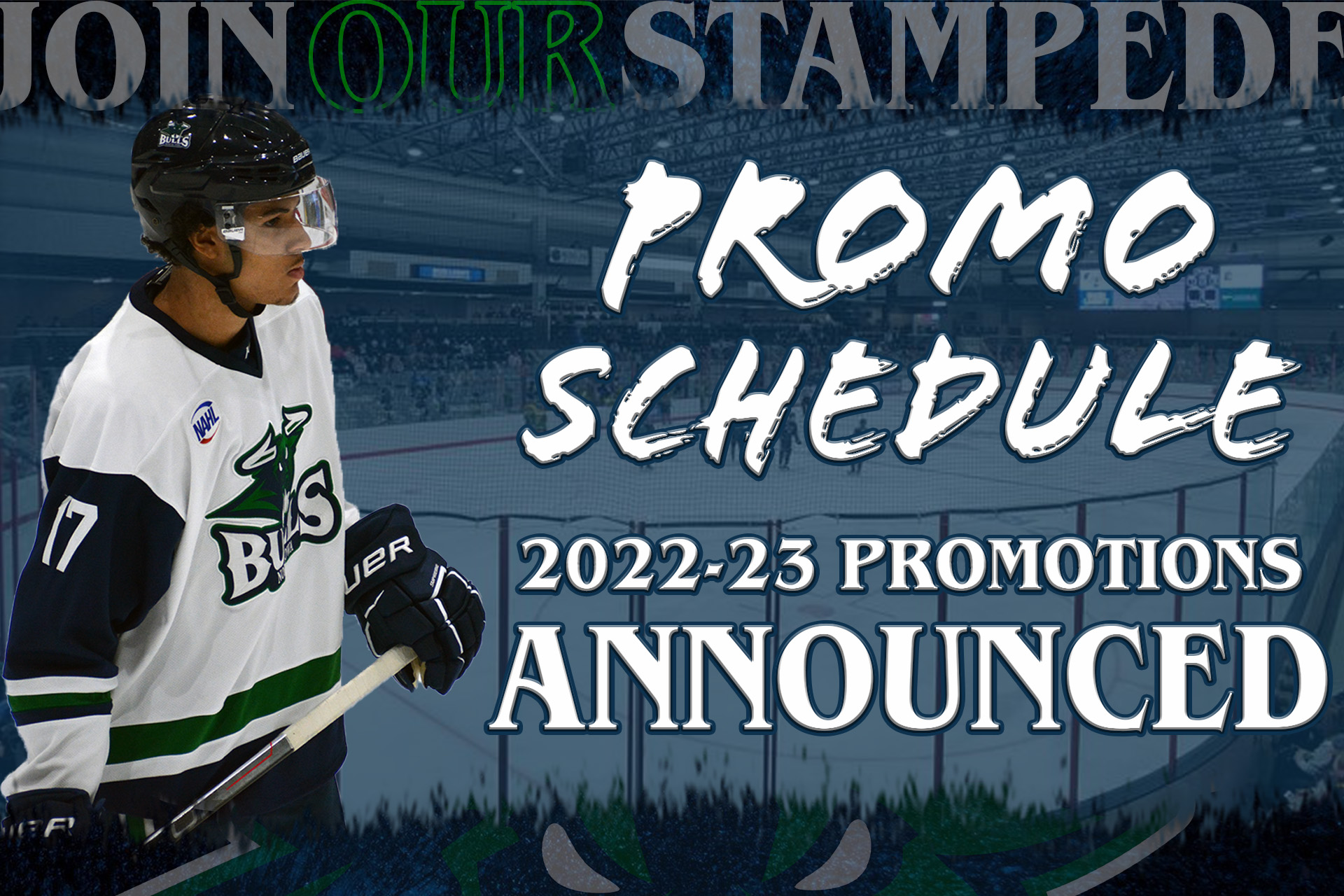 2022-23 GENERIC GRAPHIC PROMO SCHEDULE BULLS