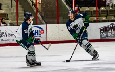 Bulls Fall to Bobcats