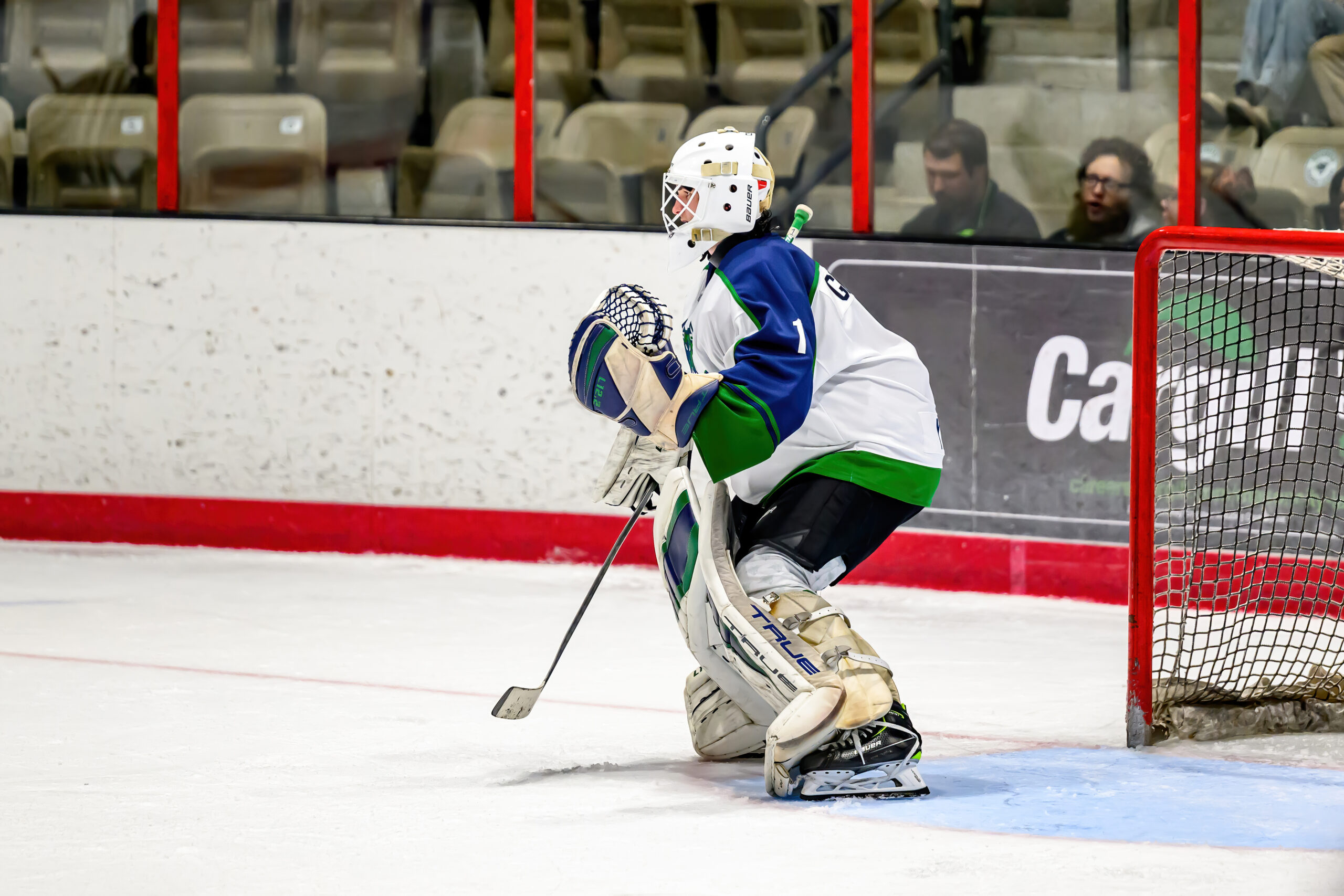 NIBulls2-3-24-153