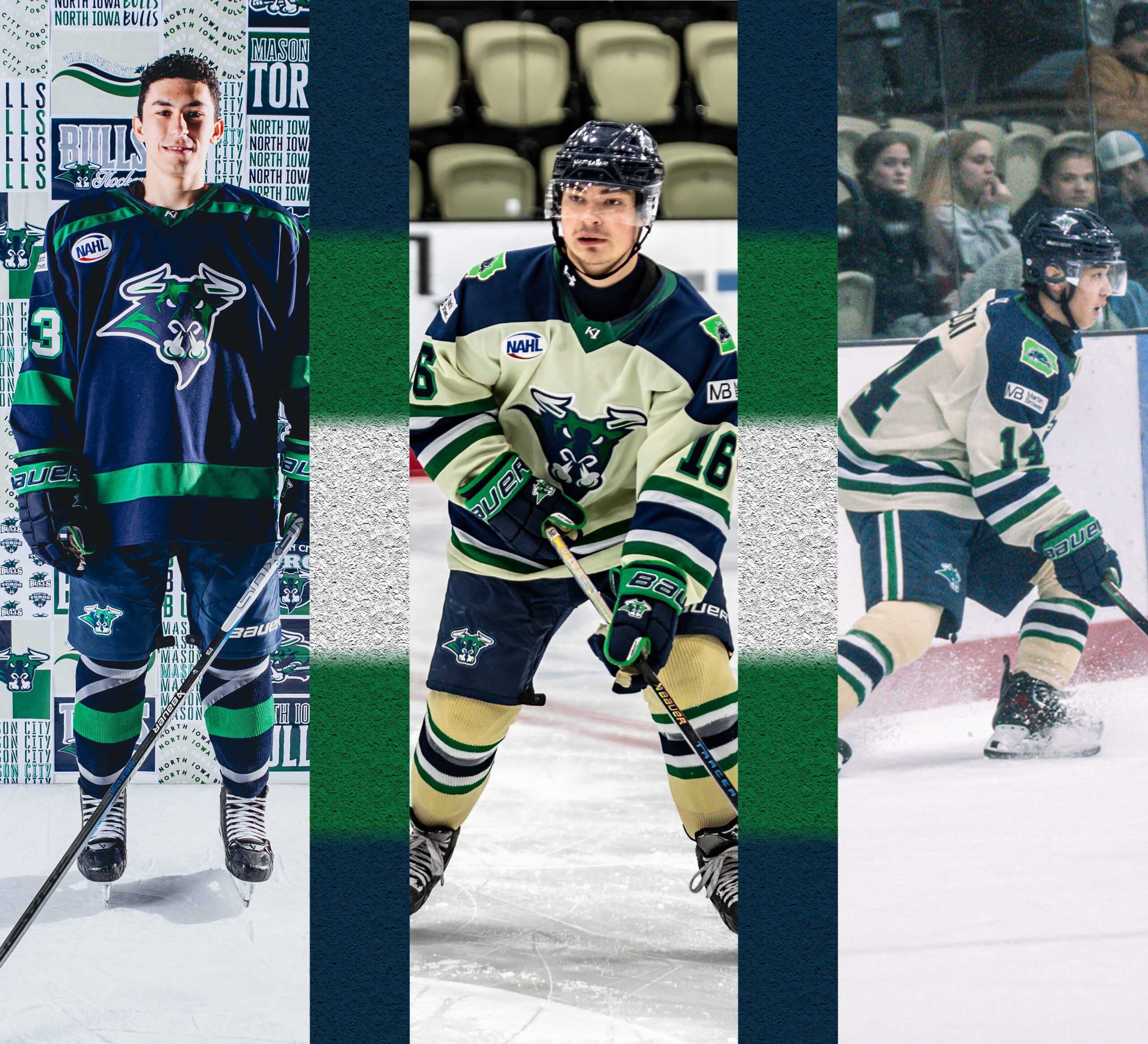 Bulls Top Prospects Wide Header